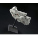 Star Wars Bandai Millennium Falcon Scale Model